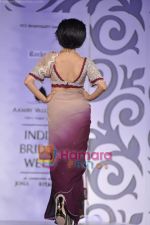 at Rocky S show for Amby Valley Indian Bridal Week on 29th Oct 2010 (14).JPG